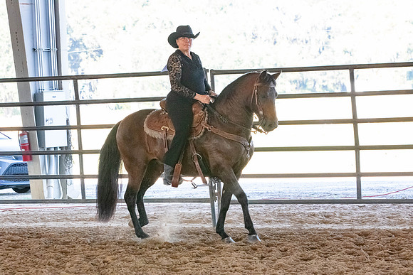 FWRHAStateShow-589