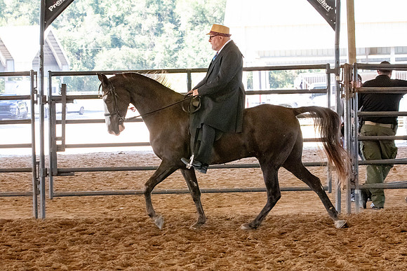 FWRHAStateShow-468