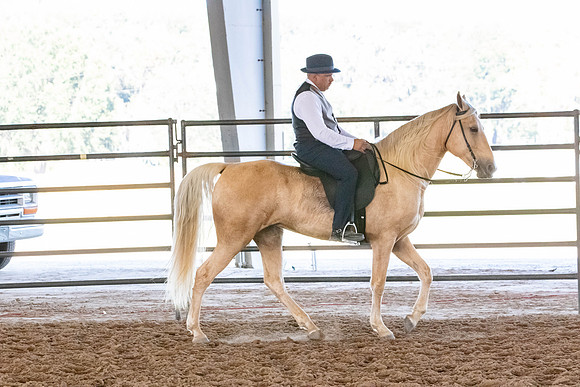 FWRHAStateShow-471