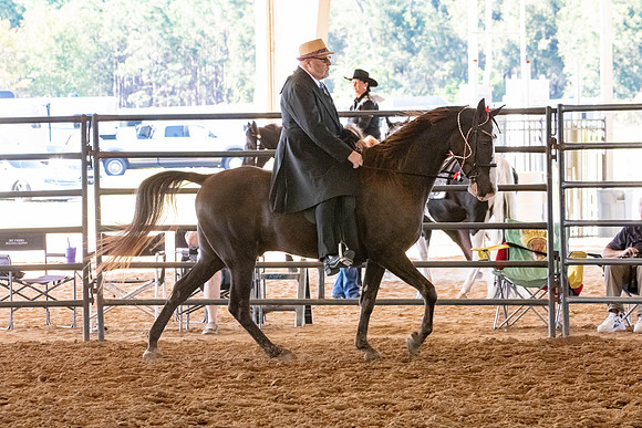 FWRHAStateShow-473