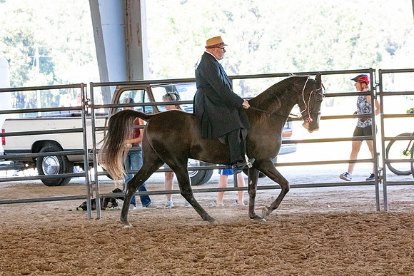 FWRHAStateShow-476