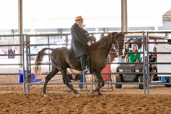 FWRHAStateShow-474