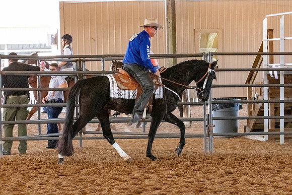 FWRHAStateShow-480