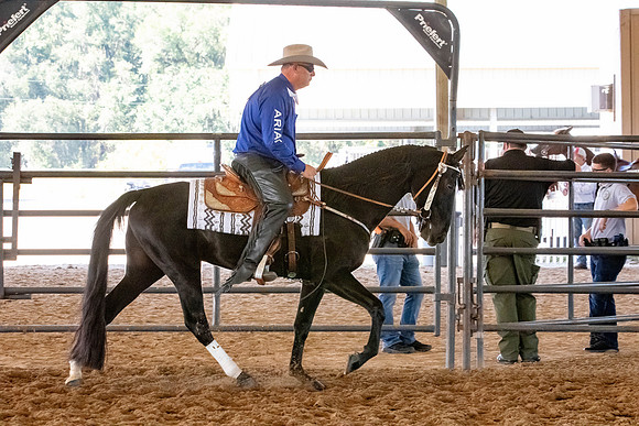 FWRHAStateShow-479