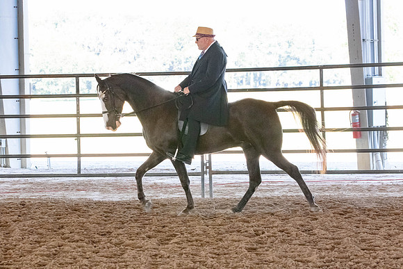 FWRHAStateShow-467