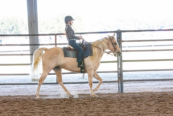 FWRHAStateShow-497