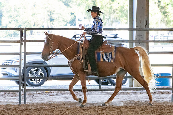 FWRHAStateShow-653
