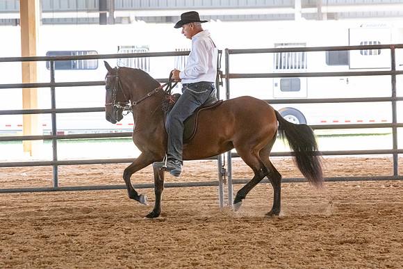 FWRHAStateShow-579