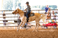 FWRHAStateShow-628
