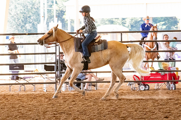 FWRHAStateShow-628