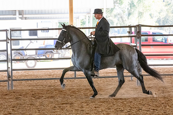 FWRHAStateShow-603
