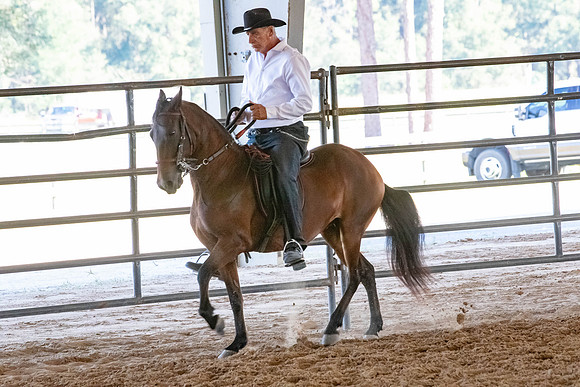 FWRHAStateShow-582