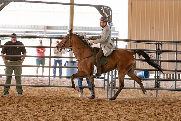 FWRHAStateShow-674