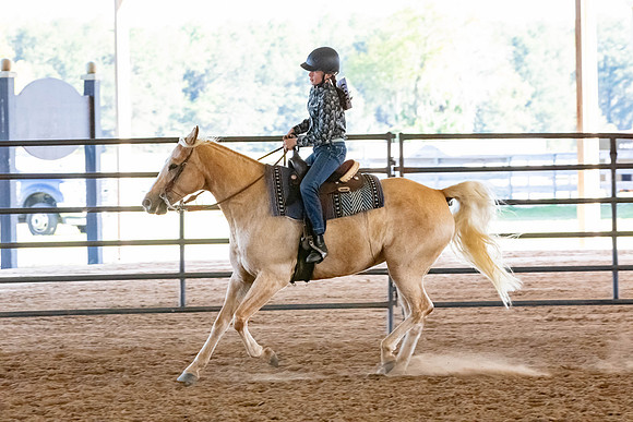 FWRHAStateShow-634