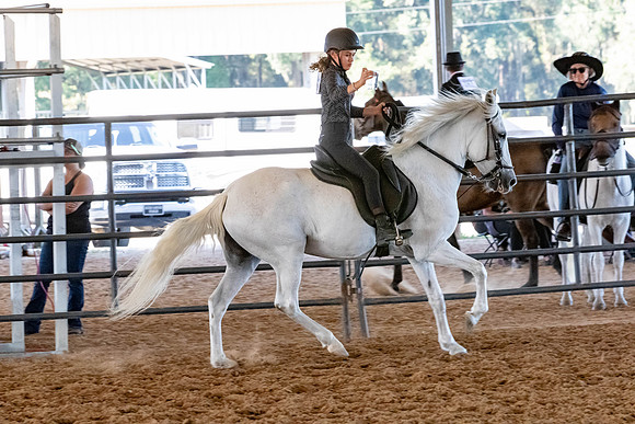 FWRHAStateShow-662
