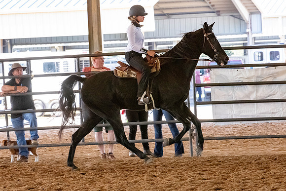 FWRHAStateShow-639