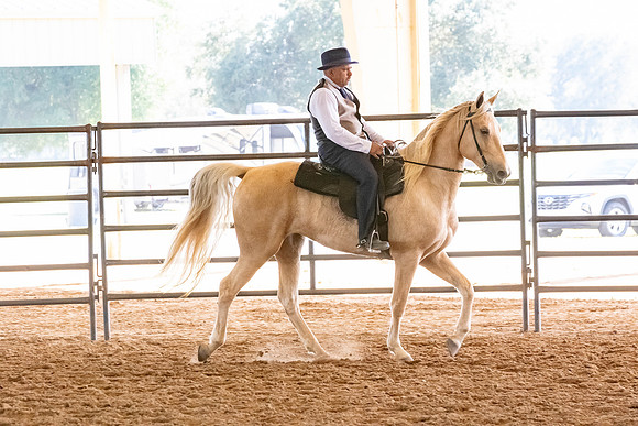 FWRHAStateShow-611