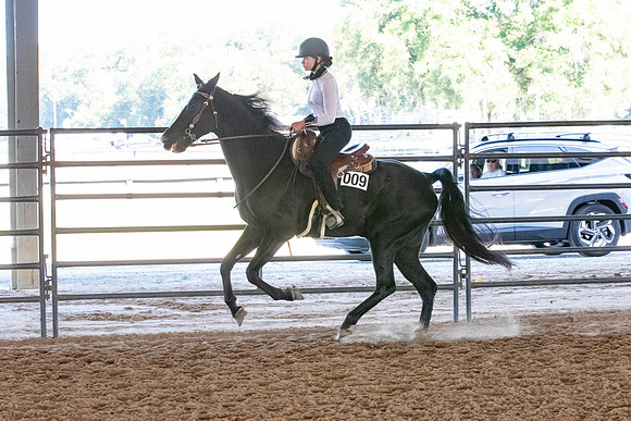 FWRHAStateShow-632