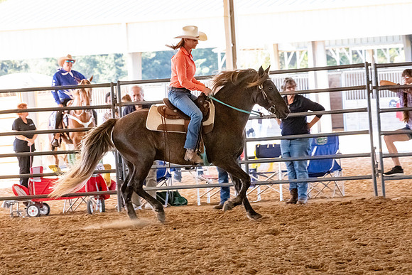 FWRHAStateShow-641