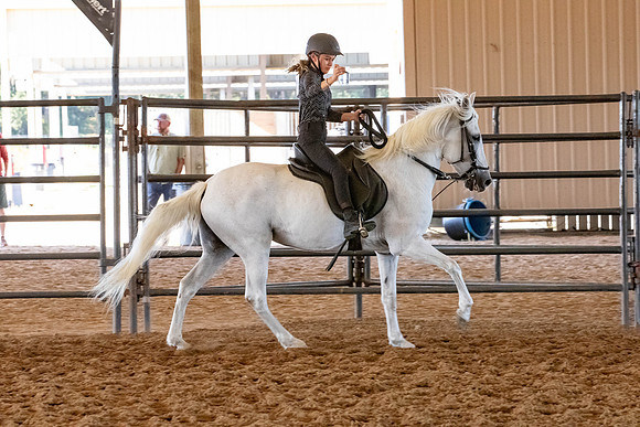FWRHAStateShow-661