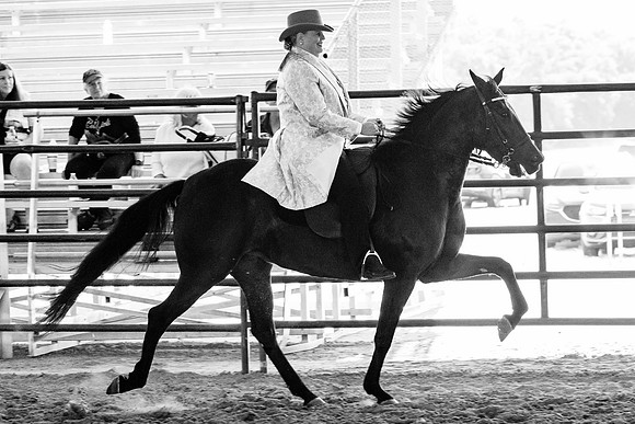 FWRHAStateShow-686