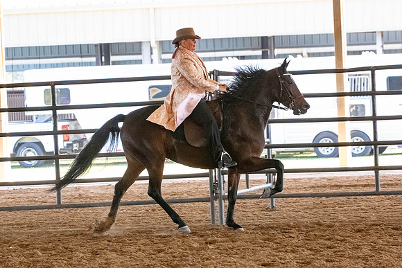 FWRHAStateShow-695