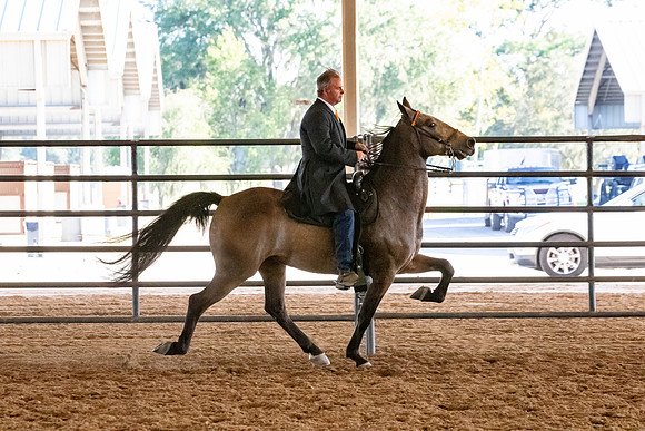 FWRHAStateShow-689
