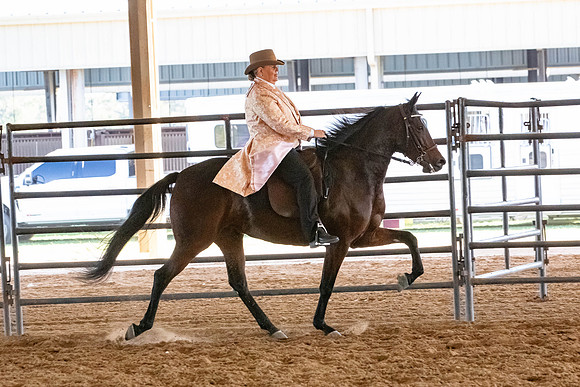 FWRHAStateShow-694