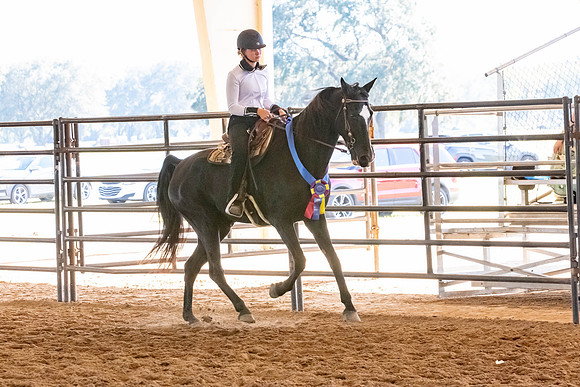 FWRHAStateShow-651