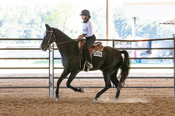 FWRHAStateShow-629