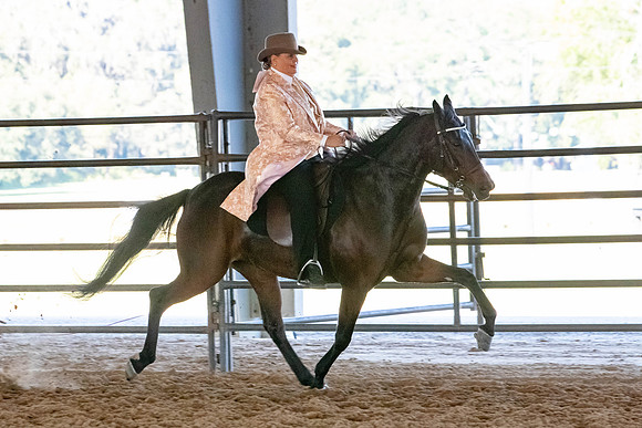 FWRHAStateShow-698