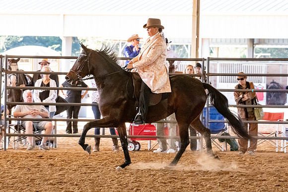 FWRHAStateShow-672