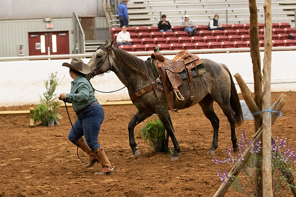 0G1A9081-1015