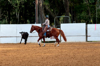 22. Working Cow Horse, Boxing Only