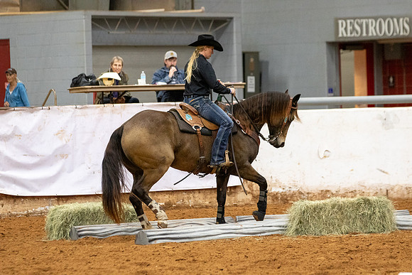 Mule&FuturityR2-526