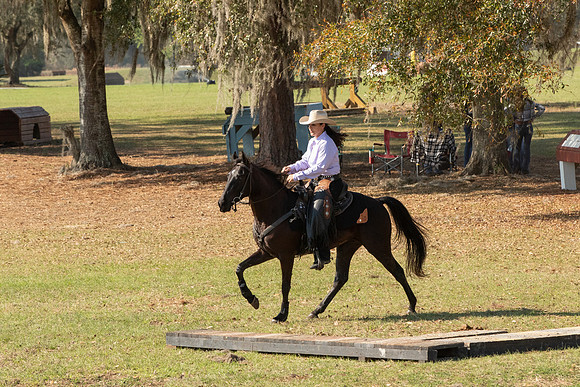 EXCAOcala-7918