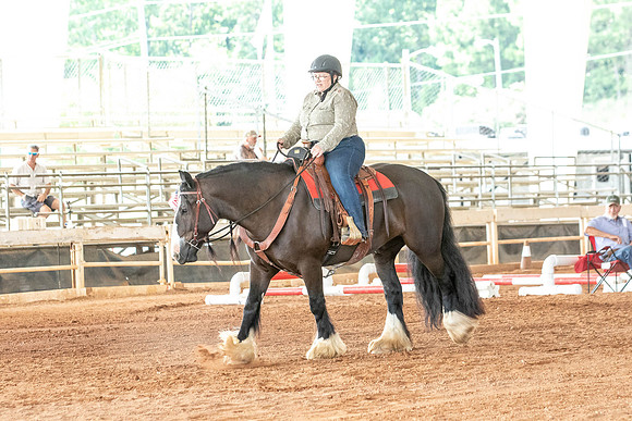 Gainesville-7453