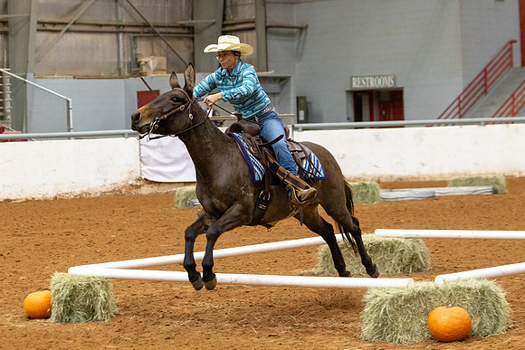 Mule&FuturityR2-41