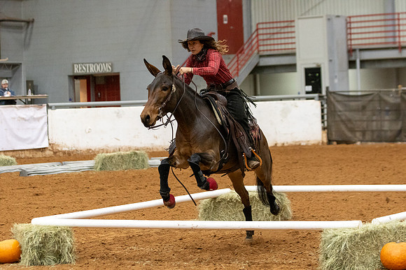 Mule&FuturityR2-108