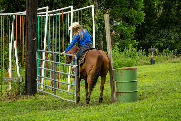 IMG_4786