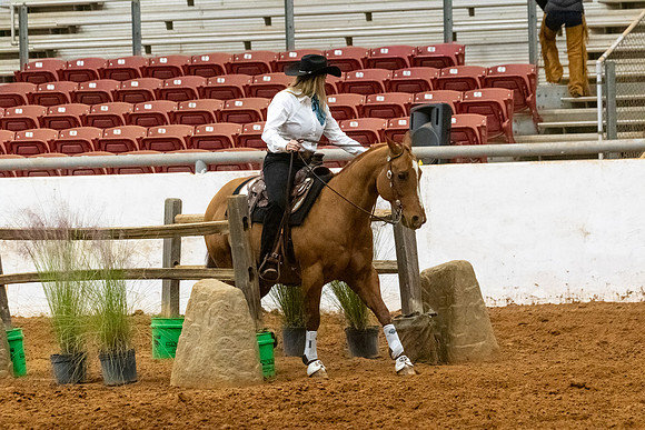 NoviceR1-417