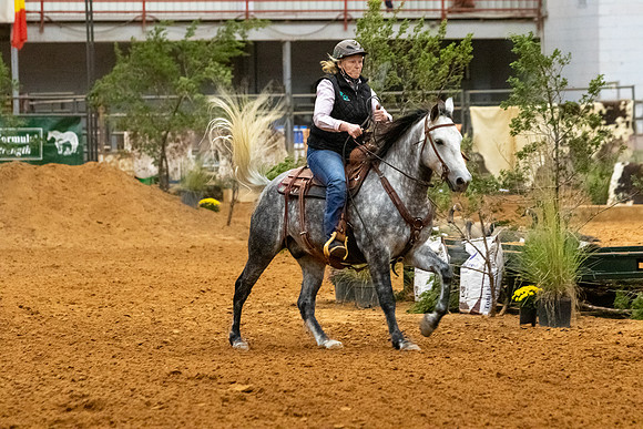 MustangR1-262