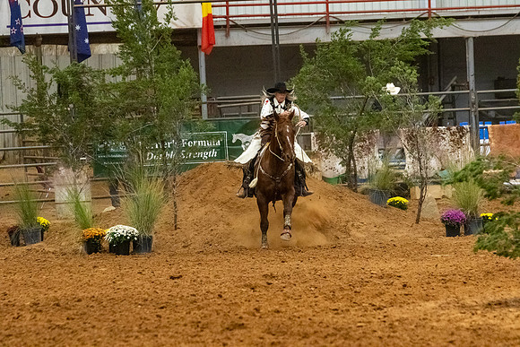 NoviceR1-508