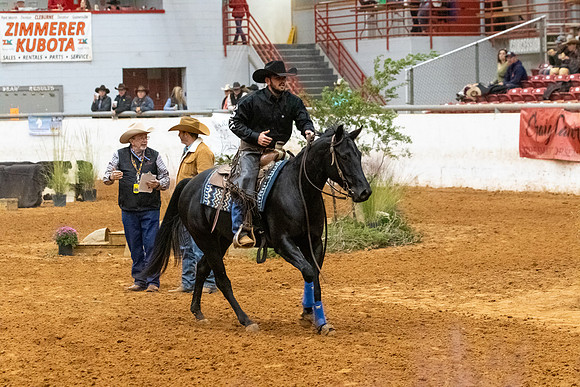 InternationalR1-100