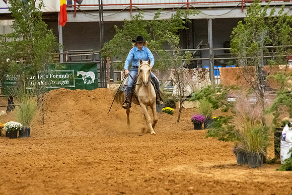 InternationalR1-248
