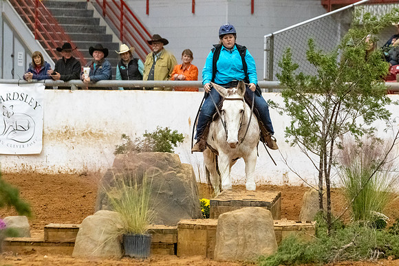 MuleR1-243