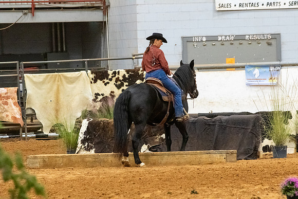 MustangR1-382