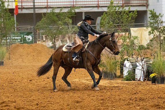 RidesmartR1-188
