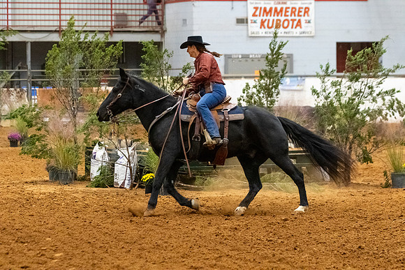 MustangR1-371