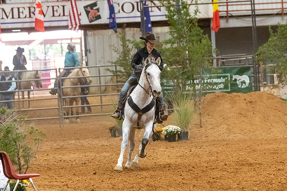 InternationalR1-201